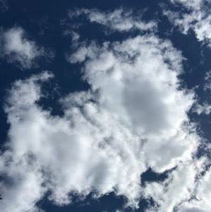 Meet your Posher, Angelica